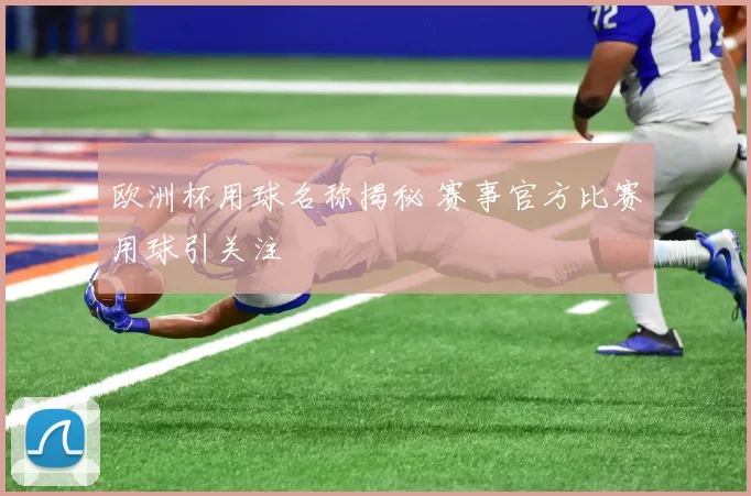 欧洲杯用球名称揭秘 赛事官方比赛用球引关注