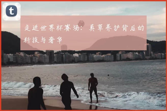 走进世界杯赛场:真草养护背后的科技与奢华