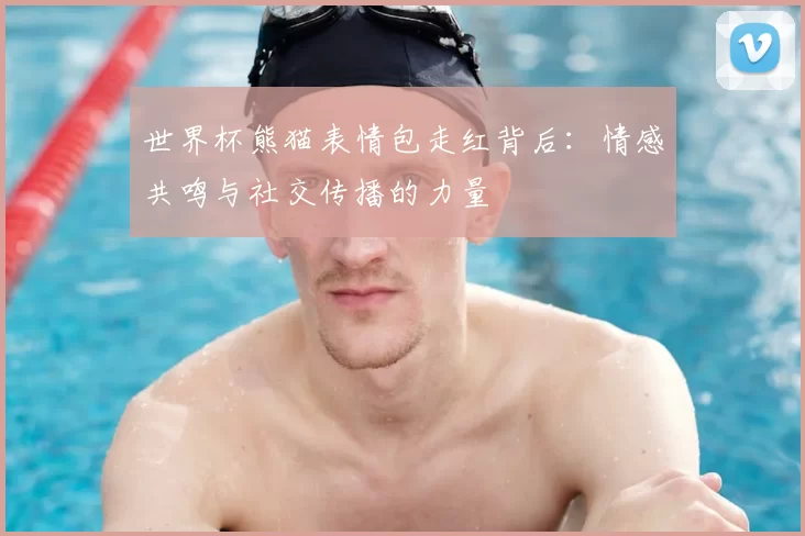 世界杯熊猫表情包走红背后：情感共鸣与社交传播的力量