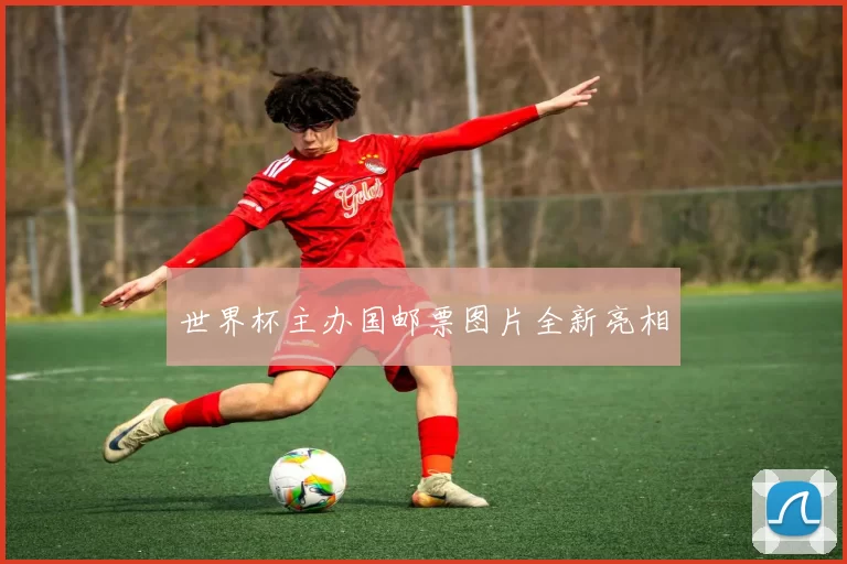 世界杯主办国邮票图片全新亮相