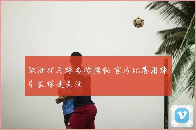 欧洲杯用球名称揭秘 官方比赛用球引发球迷关注