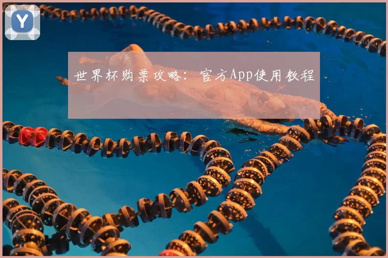 世界杯购票攻略：官方App使用教程