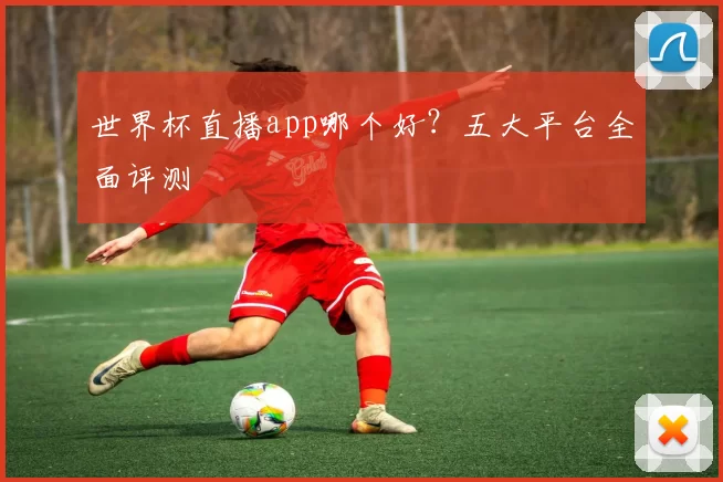 世界杯直播app哪个好？五大平台全面评测
