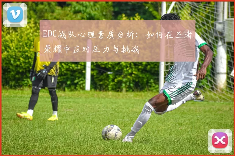 EDG战队心理素质分析:如何在王者荣耀中应对压力与挑战