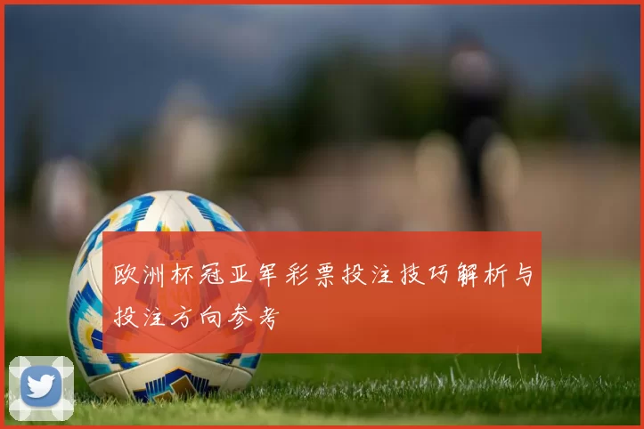 欧洲杯冠亚军彩票投注技巧解析与投注方向参考